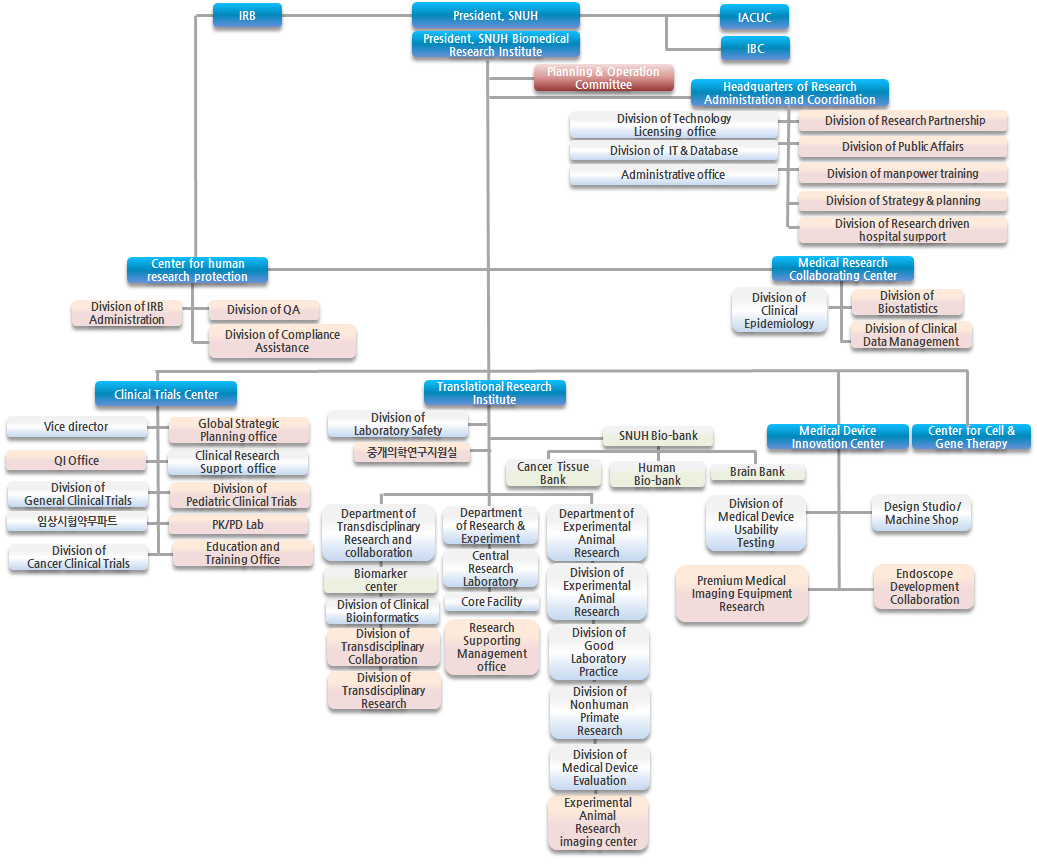 Cea Organization Chart